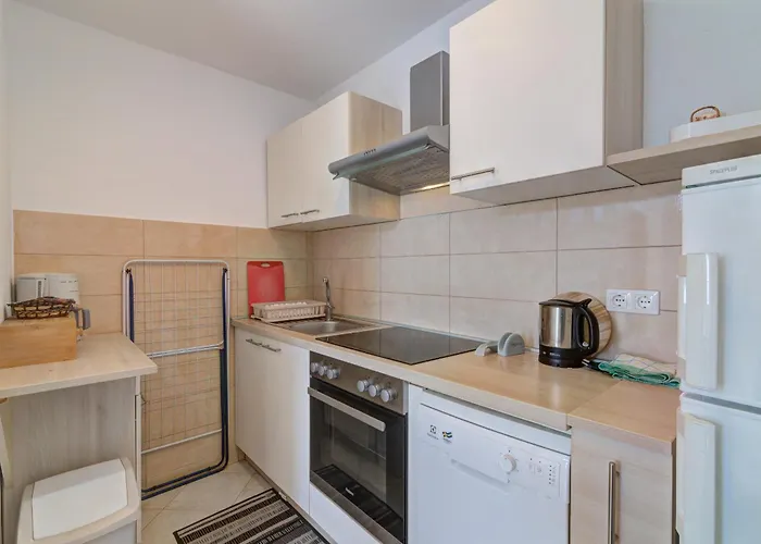 شقة Jelka Nv 2 - For 4 Persons With Terrace And Private Parking نوفي فينودولسكي